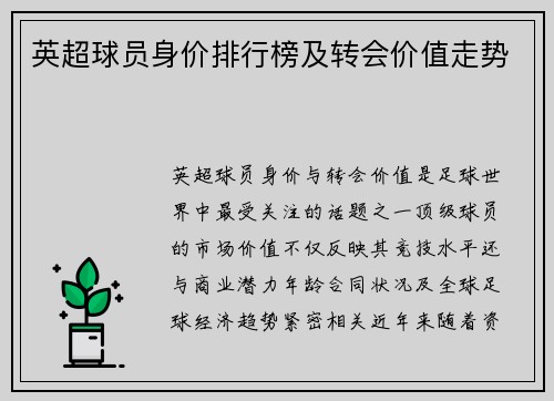 英超球员身价排行榜及转会价值走势